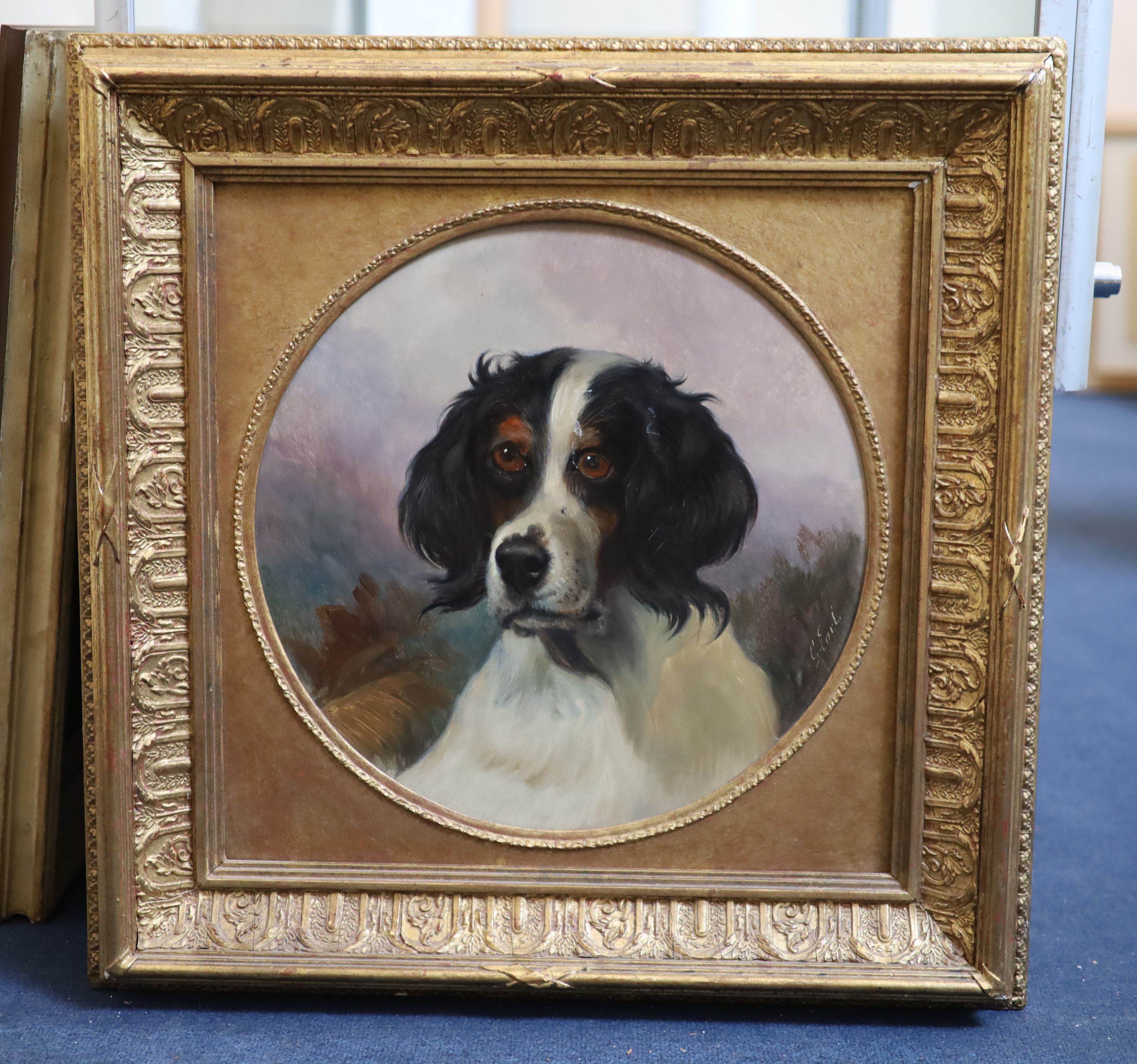 George Earl (fl.1856-1883), Portrait of a spaniel, Oil on wooden panel, Tondo, 36cm.
